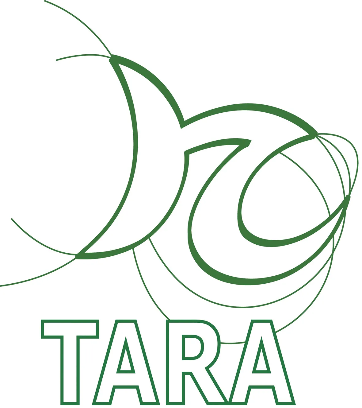 Logo TARA Ingenieurb&uuml;ro